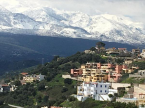 Marjoram - Morfi Village